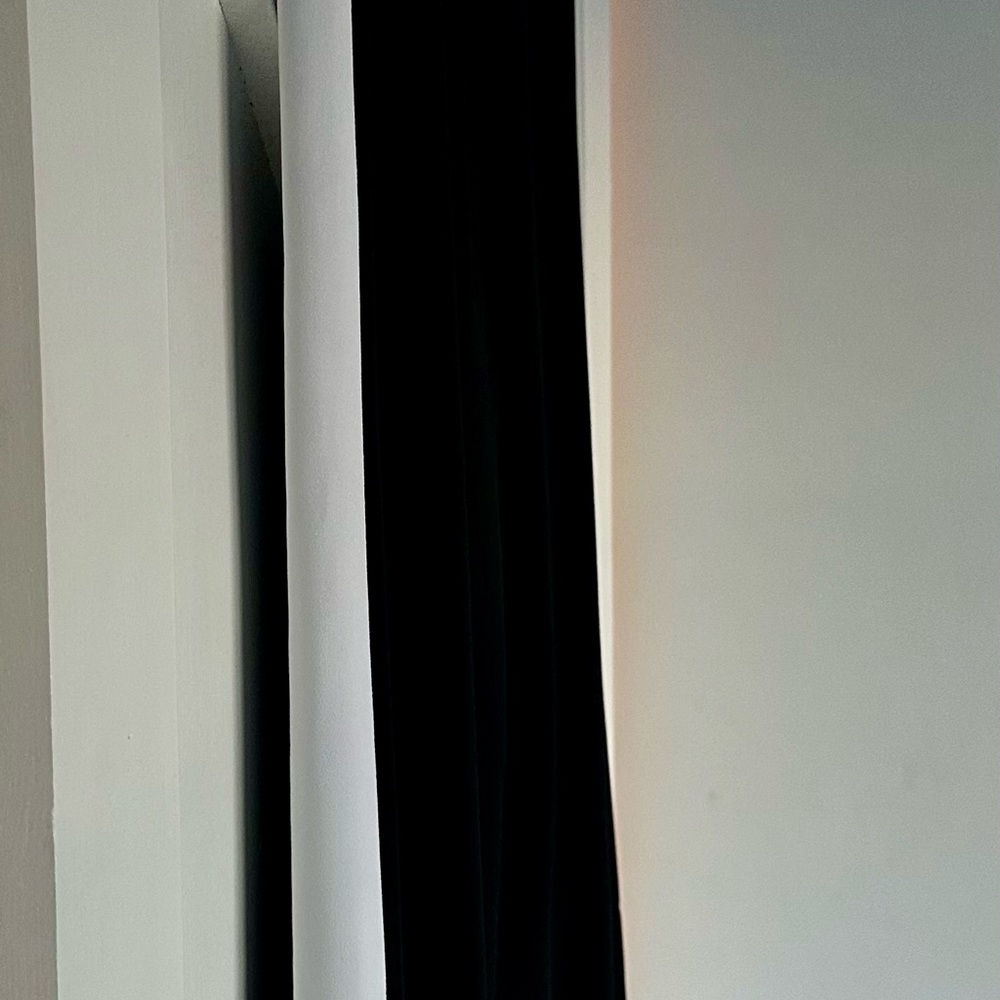 Alice and Olivia NWT pant